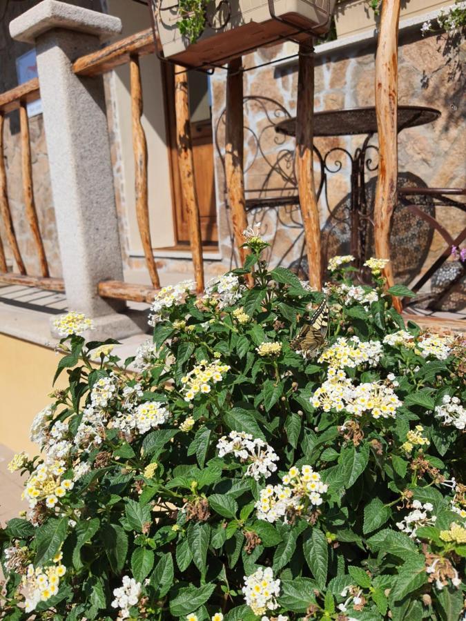 Al Pez Exclusive Rooms Olbia Exterior photo